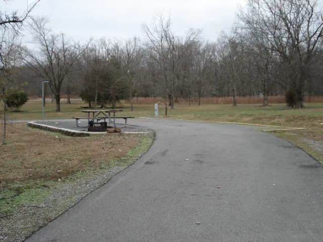 Loop VIEW · Site 113 at Canal