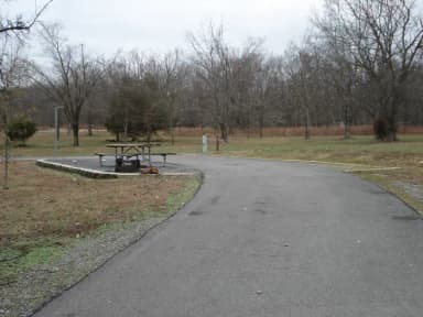 Loop VIEW · Site 113 at Canal