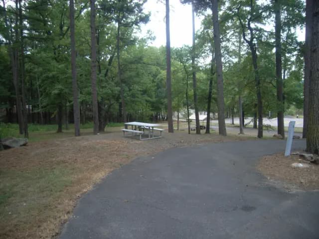 Carter Cove Site #9