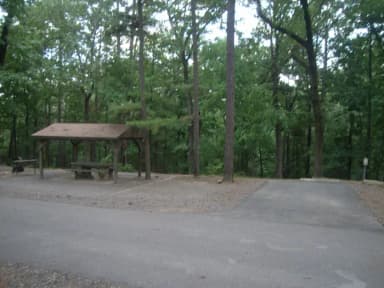 Carter Cove Site #10