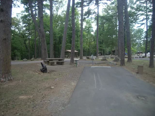 Carter Cove Site #11