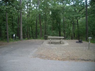 Carter Cove Site #14