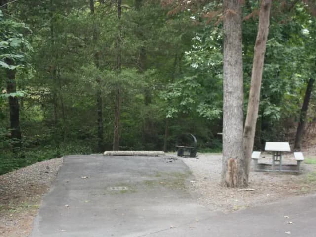 Carter Cove Site #16