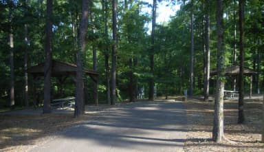 Carter Cove Site #20