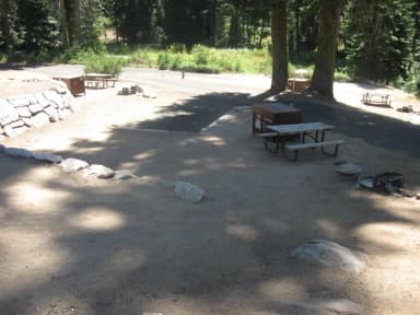 site 158, sunny site