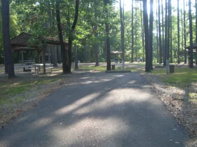 Carter Cove Site #21