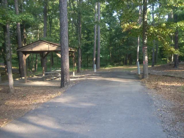Carter Cove Site #22