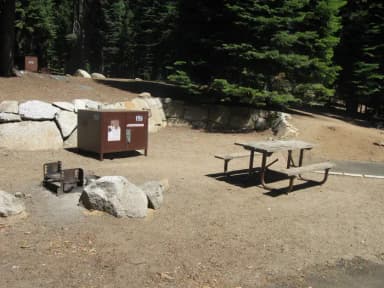 Site 159, sunny site
