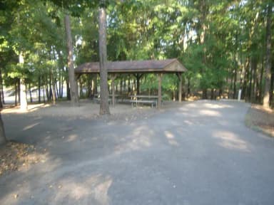 Carter Cove Site #24