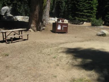 Site 160, partial shade, near meadow