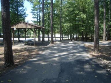 Carter Cove Site #25