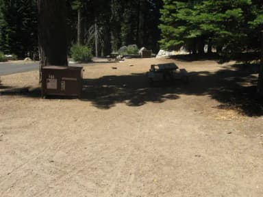 Site 161, sunny, near meadow