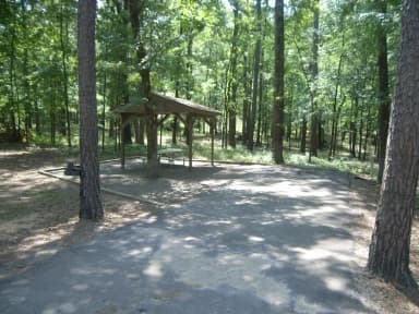 Carter Cove Site #28