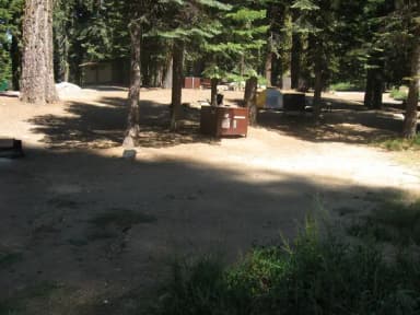 Site 162, sunny, near meadow