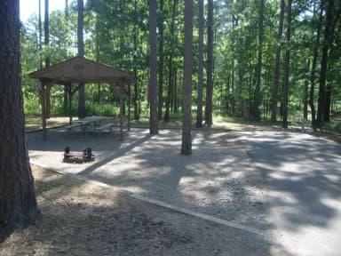 Carter Cove Site #30