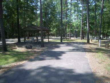 Carter Cove Site #31