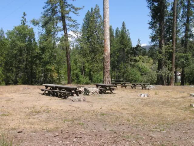 Scout Group Camp
