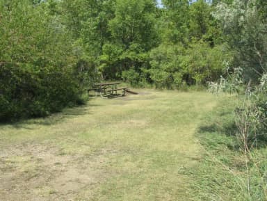 Campsite #40 East Totten Trail Campground