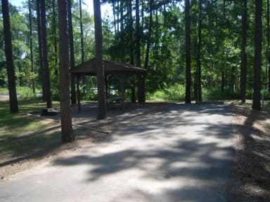 Carter Cove Site #32