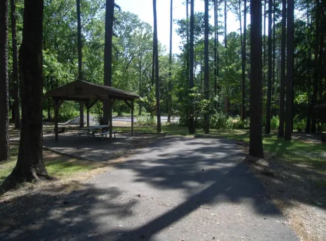 Carter Cove Site #33