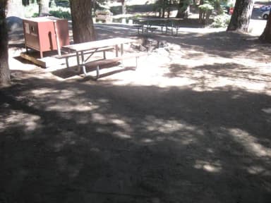 Site 165, shady