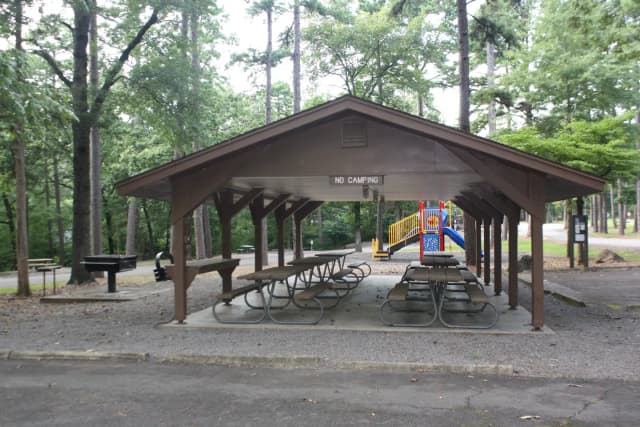 Group Picnic Shelter