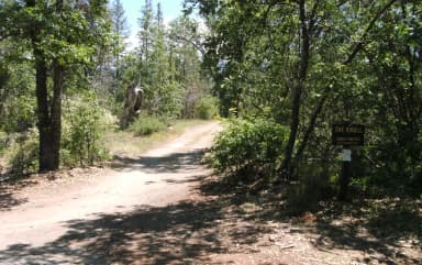 The Knoll Group Camp