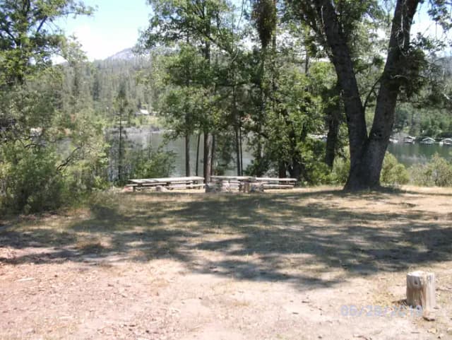 The Knoll Group Camp