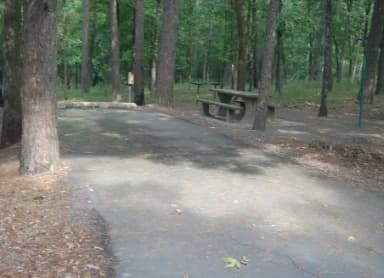 Quarry Cove Site #2