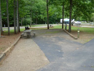 Site 24
