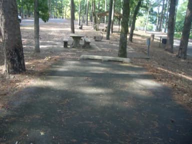 Quarry Cove Site 6