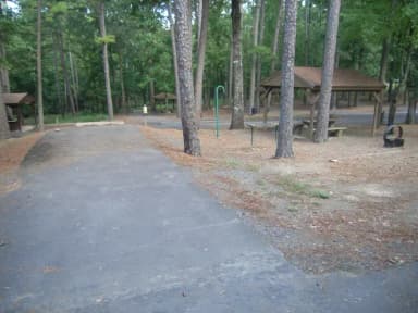 Quarry Cove Site #7