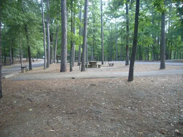 Quarry Cove Site #8