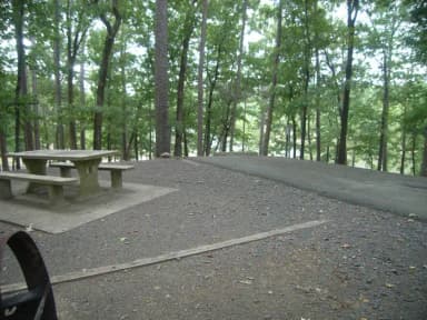 Quarry Cove Site #11
