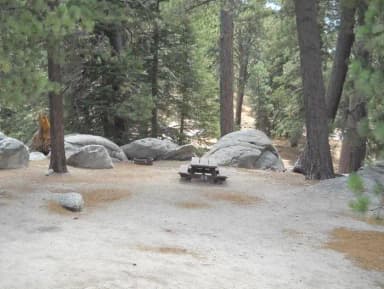 Boulder Basin campsite 25 with picnic table.