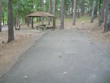Quarry Cove Site #14