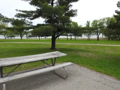 Site 36 in Turkey Point Campground
