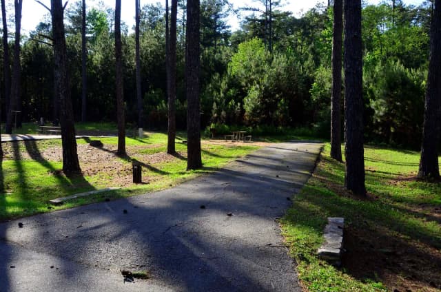 Sweetwater Campground Site 85