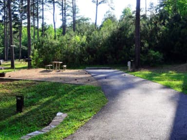 SW093 - Driveway and campsite