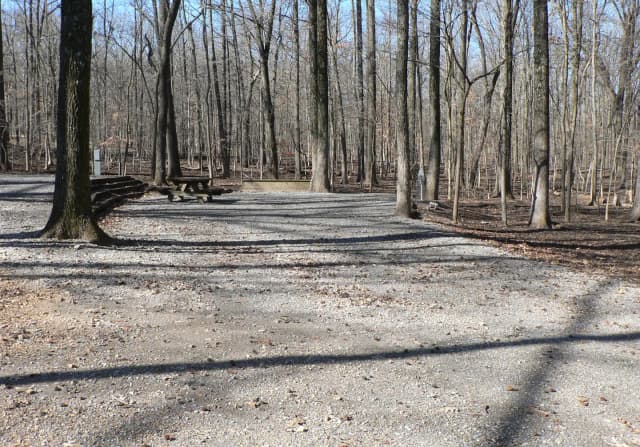 Preview of Site 37B of Loop Woods at CANAL