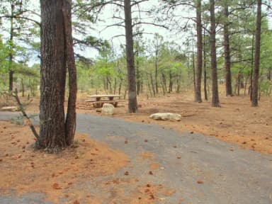 Picnic table and fire pit, Mather Campground