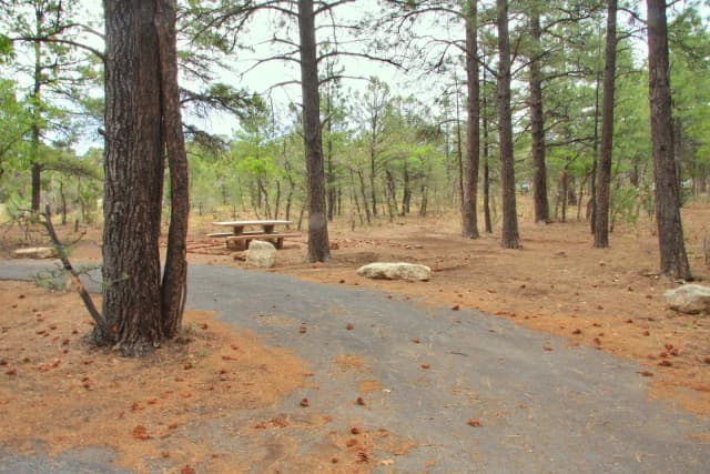 Picnic table and fire pit, Mather Campground