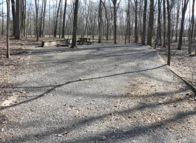 Preview of Site 41 of Loop Woods at CANAL