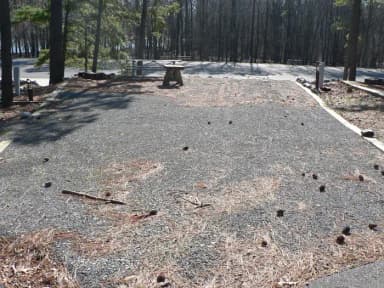 Site