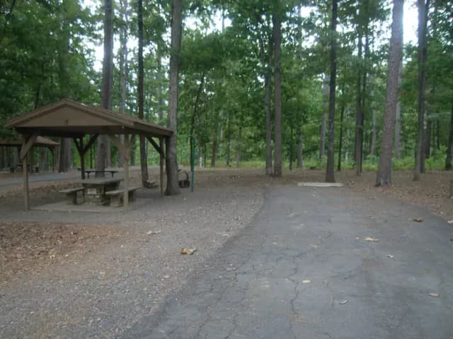 Quarry Cove Site #17