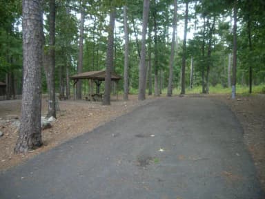 Quarry Cove Site #16