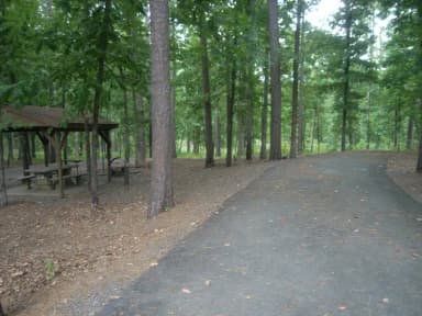 Quarry Cove Site #19