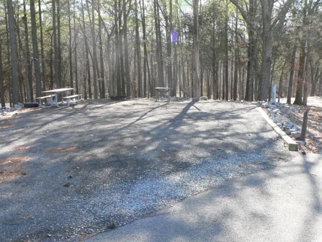 Site