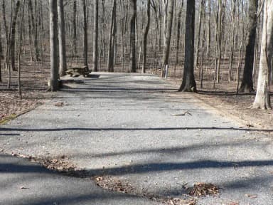 Preview of Site 43 of Loop Woods at CANAL