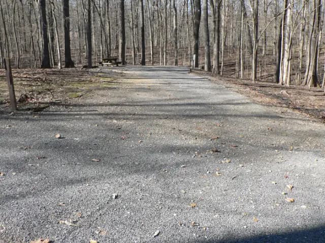 Preview of Site 45 of Loop Woods at CANAL